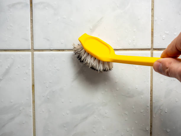 Best Affordable Mold Removal  in Newton Falls, OH