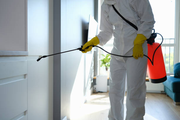 Best Professional Mold Removal  in Newton Falls, OH